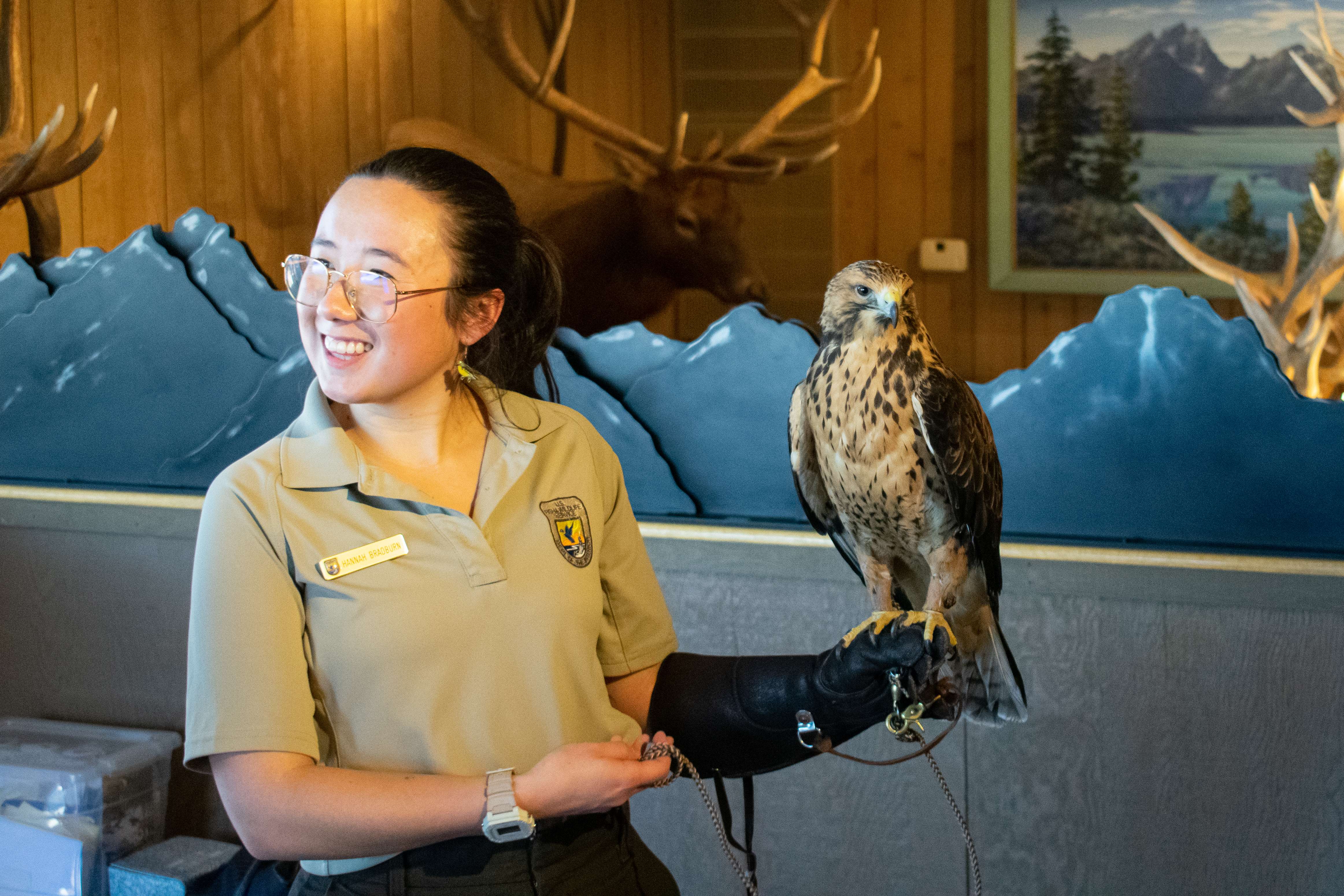 Gemini - The Wildlife Communication Expert (Image Credits: Wikimedia)