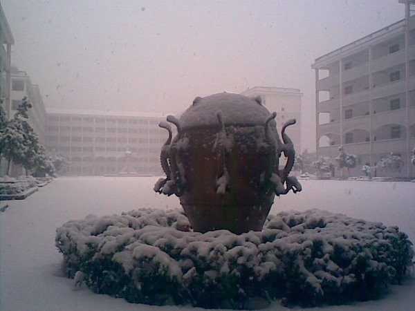 Advanced Seismoscope: Earthquake Detection in Ancient China (Image Credits: Wikimedia)