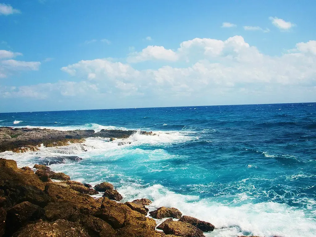 The Caribbean Sea's Hidden Whistle (Image Credits: Flickr)