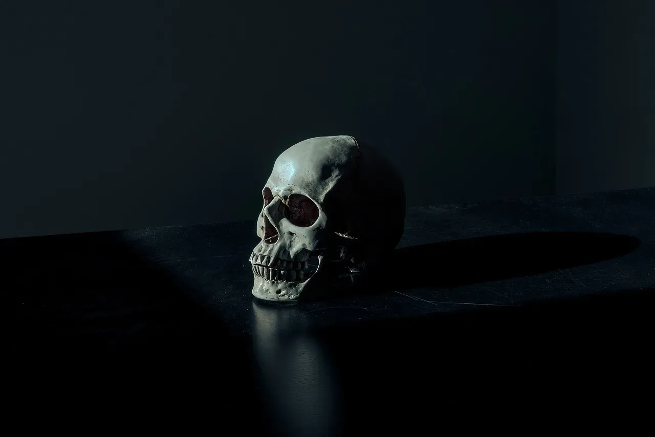 #4 - The Alleged Precambrian "Human" Bone: A Lesson in Wishful Thinking (Image Credits: Pixabay)