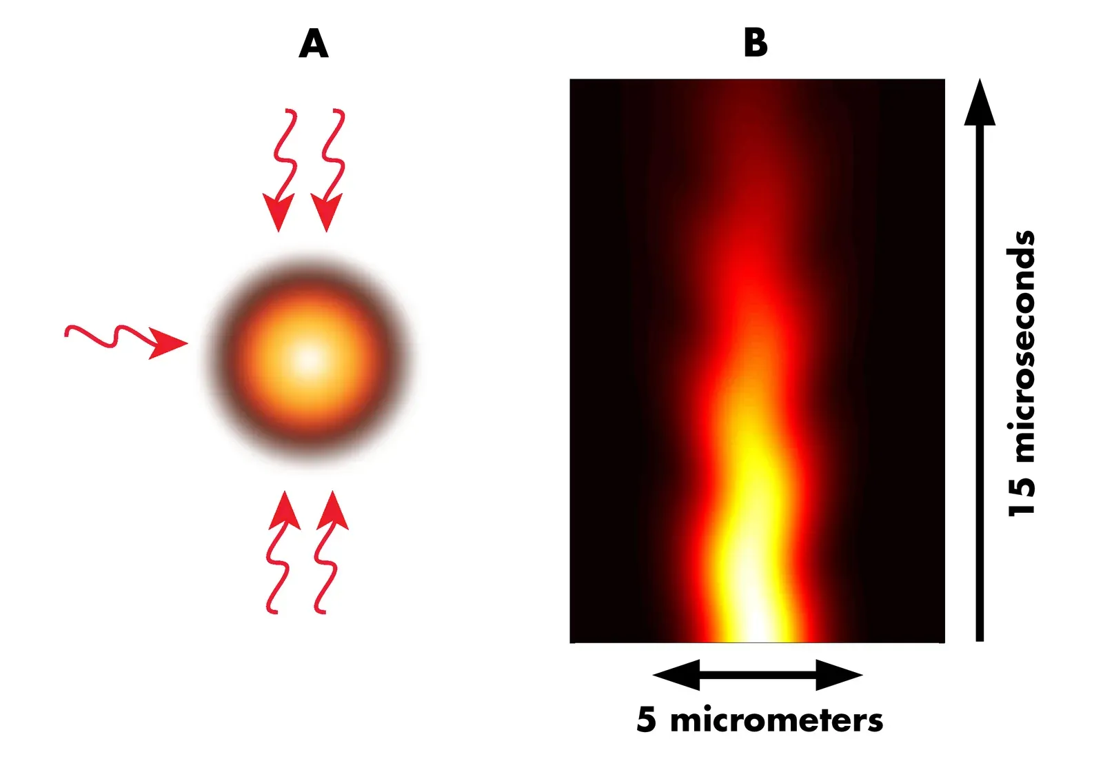 Quantum Systems Can Resist Heating (Image Credits: Wikimedia)
