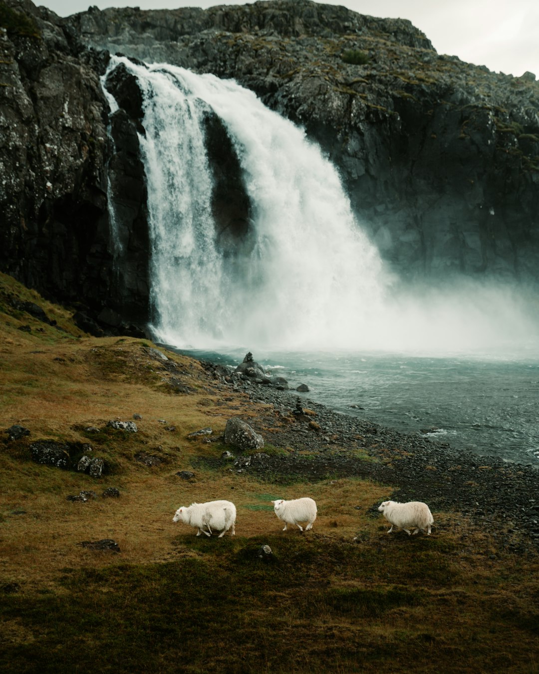 Why It Matters (Image Credits: Unsplash)