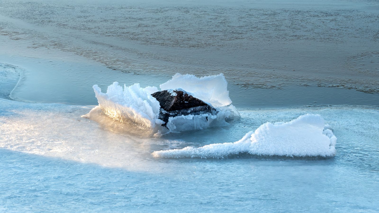 Frost Flowers: Delicate Arctic Sculptures (Image Credits: Wikimedia)