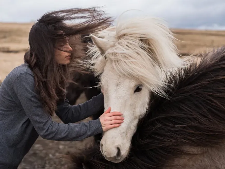 Conclusion: Honoring The Quiet Magic Between You And Animals (Image Credits: Pexels)