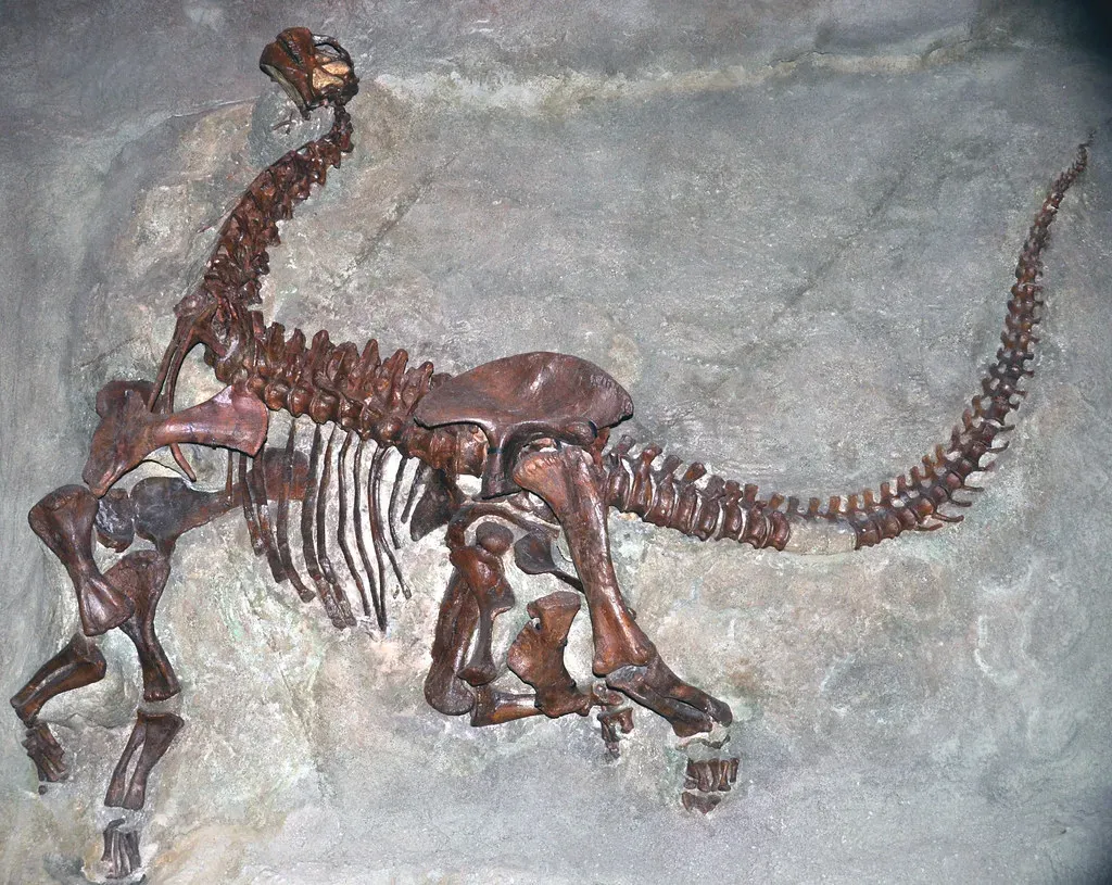 Reconstructing Creatures From Scraps and Shadows (James St. John, Flickr, CC BY 2.0)