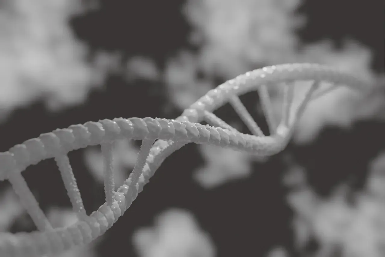 #12 The Genetic Code We Scatter Without a Map (Image Credits: Pixabay)