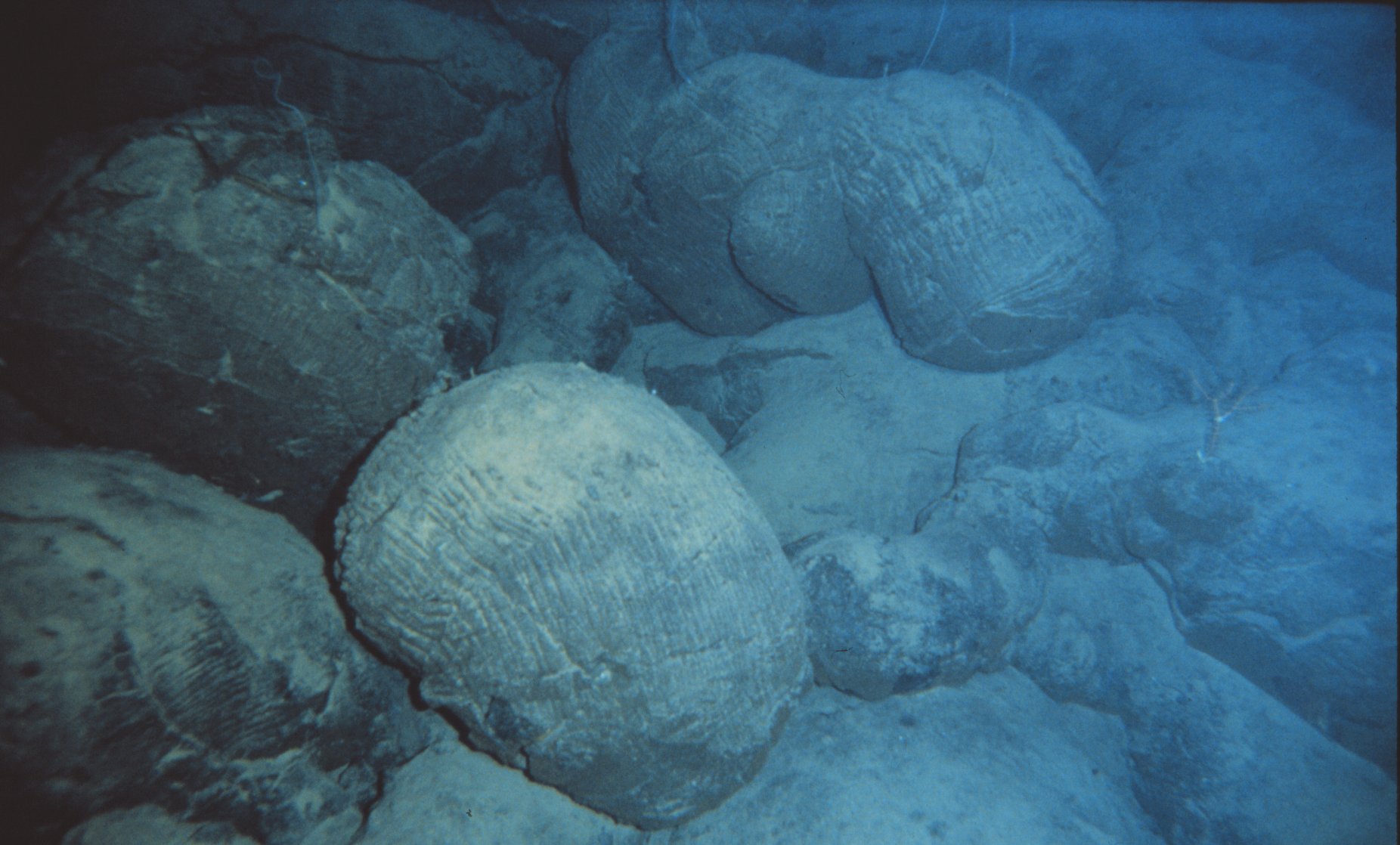 The Ancient History Written in Ocean Rocks (Image Credits: Wikimedia)