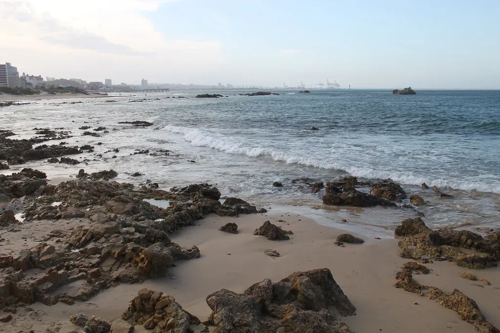 8. Protecting Oceans, Coasts, and Rivers as Part of the Same Wild Story (flowcomm, Flickr, CC BY 2.0)