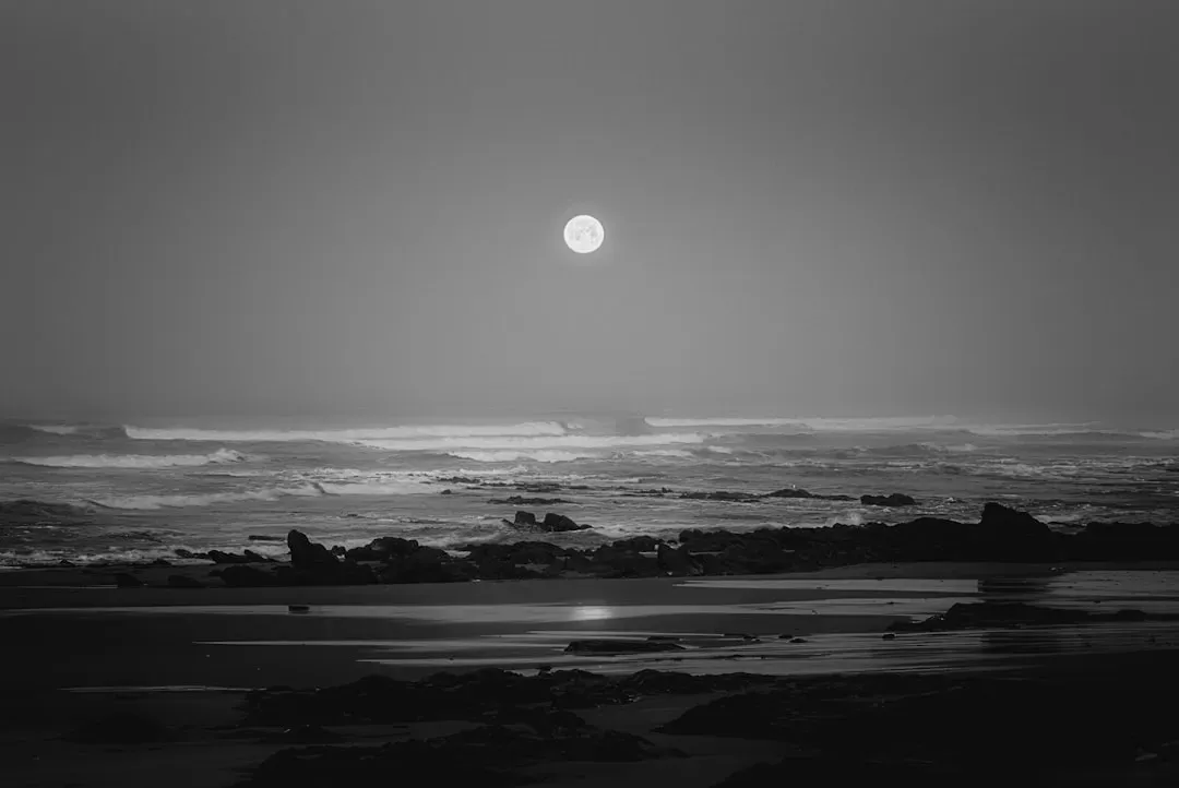 The First Night: A Vanishing Act Written in the Tides (Image Credits: Unsplash)