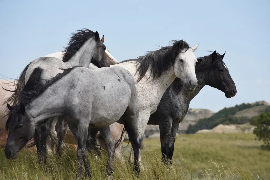 Aries: The Wild Mustang (Image Credits: Rawpixel)