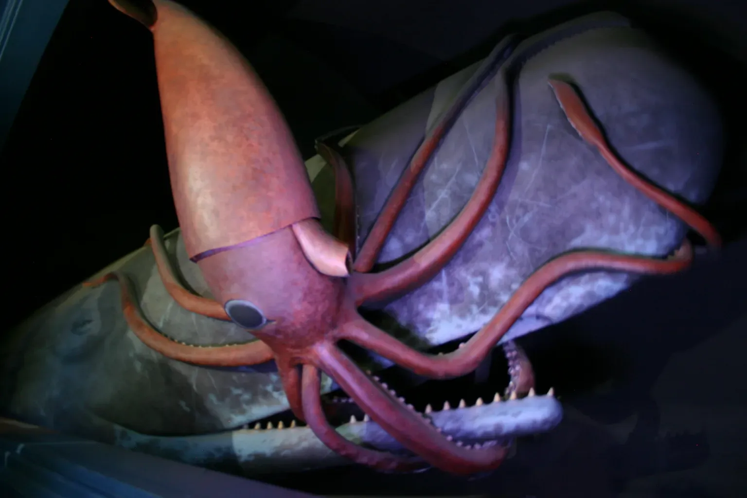 #2 - The Colossal Squid (Mesonychoteuthis hamiltoni) (Sperm Whale and Giant Squid, CC BY-SA 2.0)