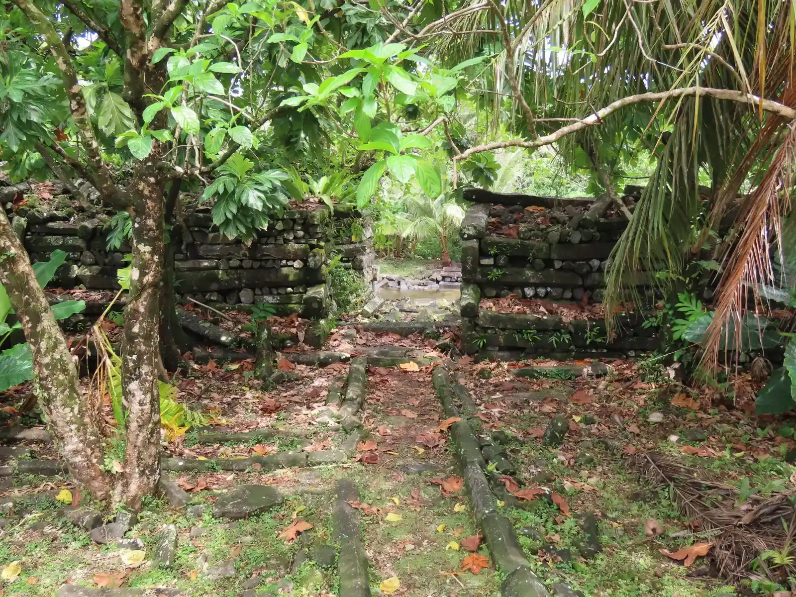Nan Madol’s Offshore Ruins: A Coral City That Shouldn’t Exist Where It Does (By Uhooep, CC BY-SA 4.0)