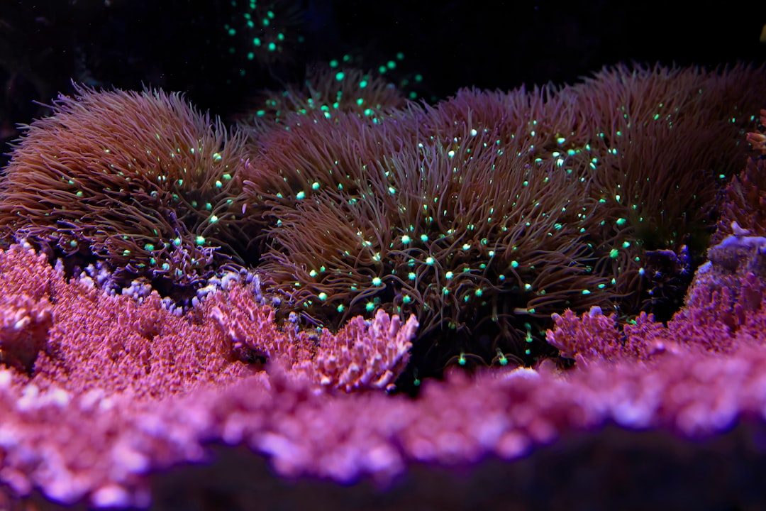 Conclusion: Embracing Your Deep-Sea Nature (Image Credits: Unsplash)
