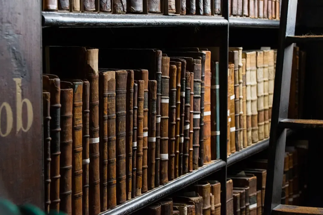7. An Ancient Library Survived as a Giant Lump of Charcoal (Image Credits: Unsplash)
