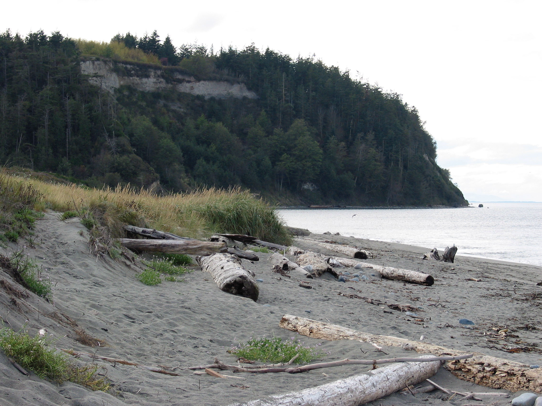 Port Townsend, Washington - Straits, Tides, and a Glassy Ledger (Image Credits: Wikimedia)