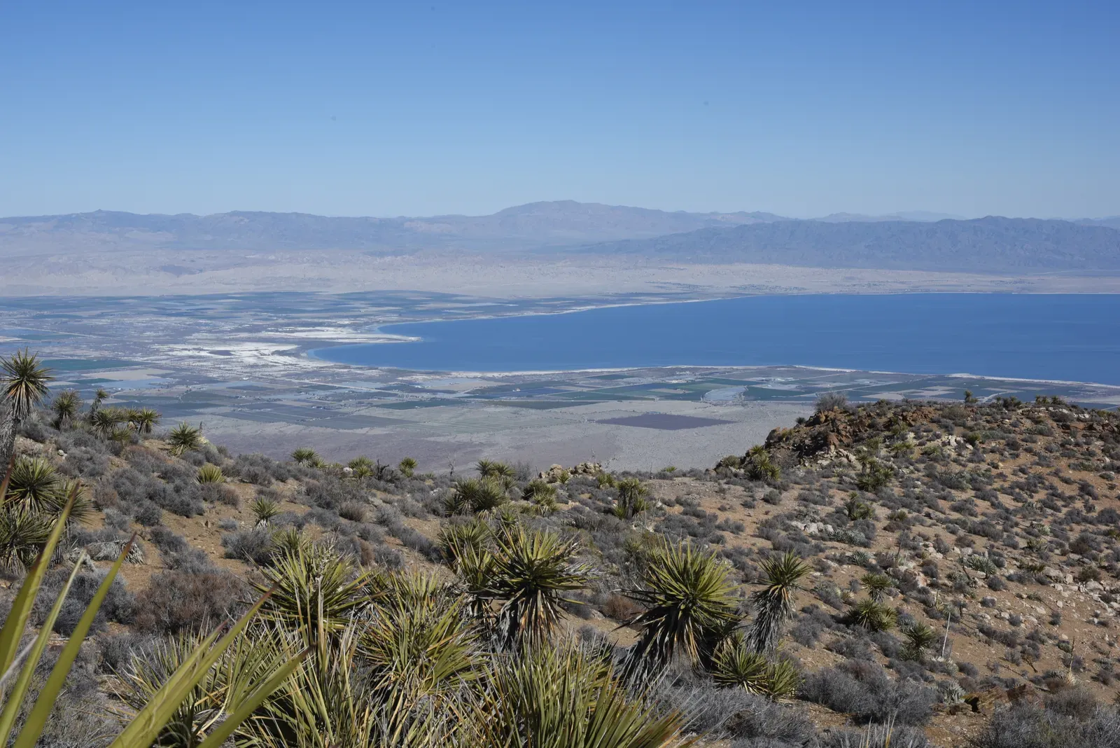 The Human Toll: You Breathe What the Lake Leaves Behind (Panorama 1886 NE, CC BY-SA 2.0)