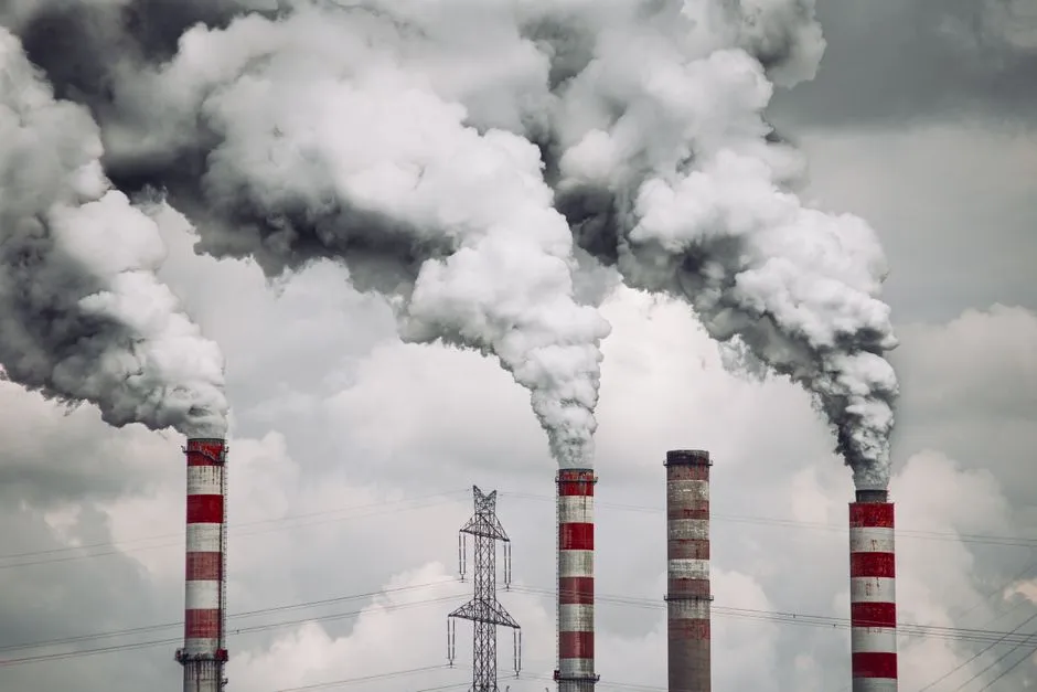 7. Disaster Zones and Pollution Hotspots That Briefly Went Missing (Image Credits: Pexels)