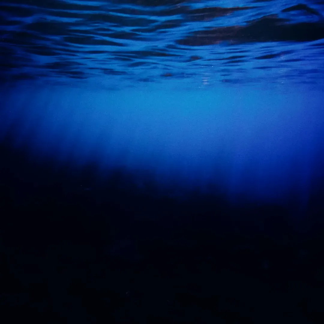 Strange Sounds From the Deep (Image Credits: Unsplash)
