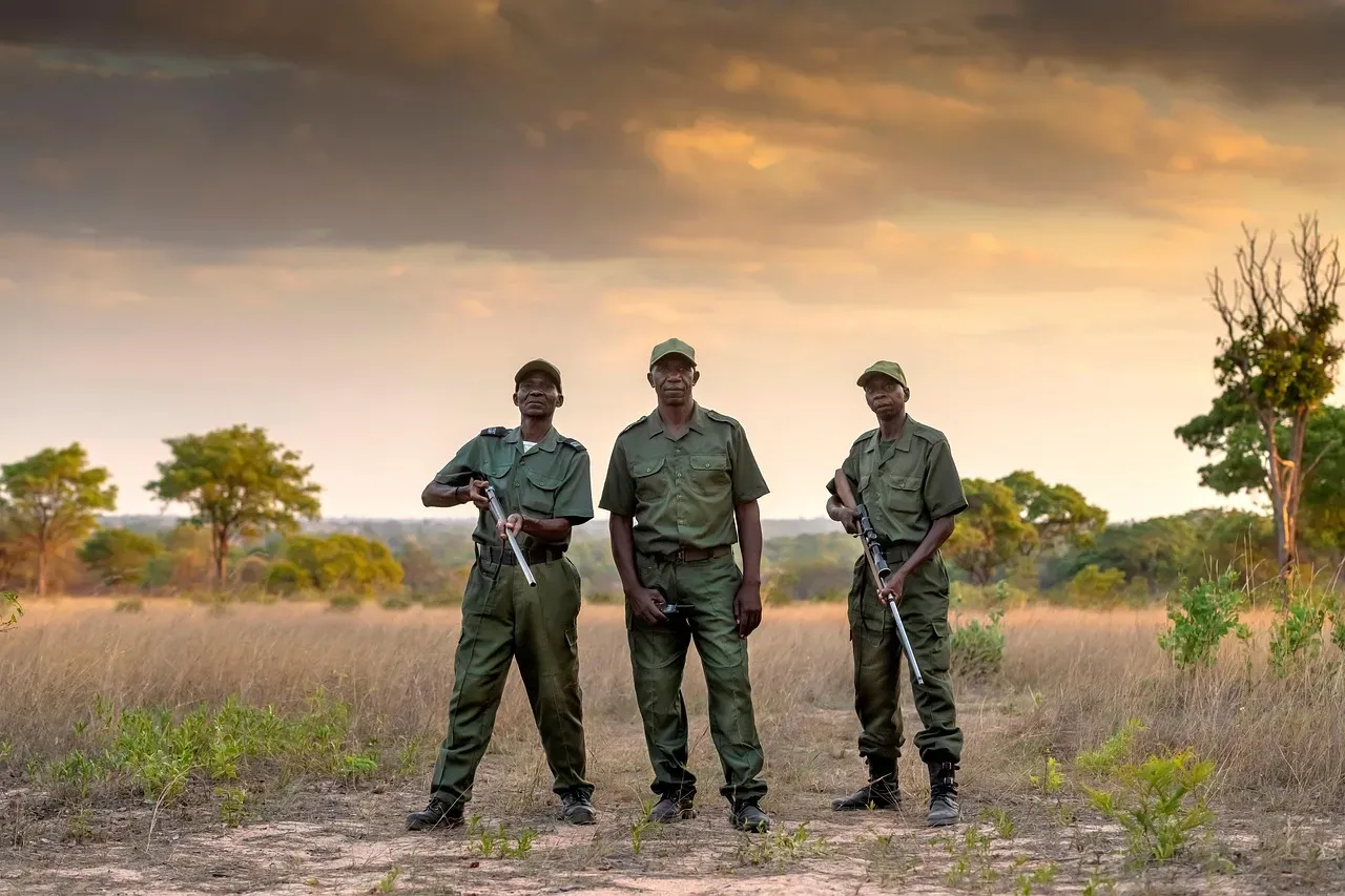 Predictive Analytics to Stop Poachers Before They Strike (Image Credits: Pixabay)