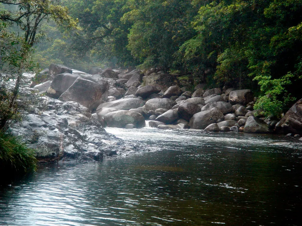 Rivers: The Planet’s Slow, Invisible Salt Conveyors (Image Credits: Flickr)