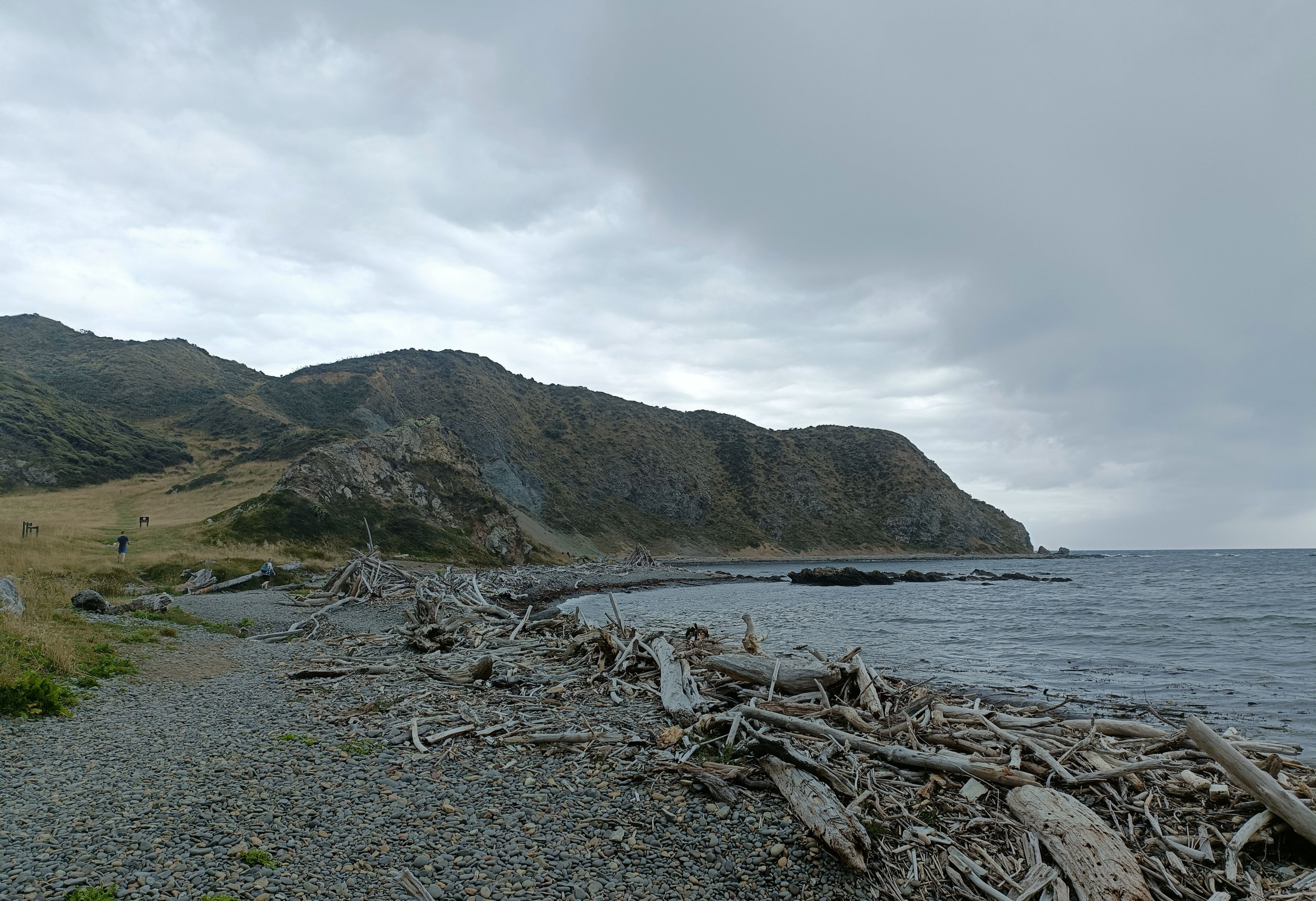 Engineering with Shell: Architecture that Reshaped the Coast (Image Credits: Wikimedia)