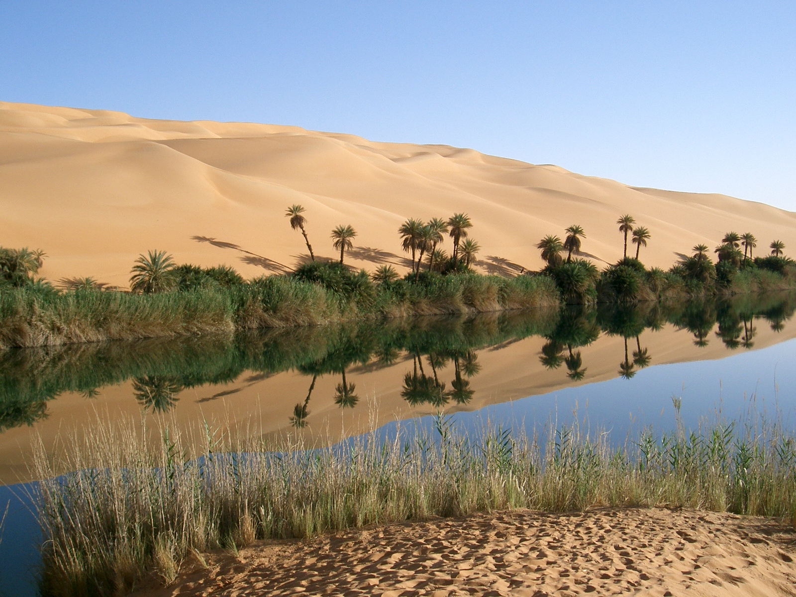 Aquarius - The Innovative Desert Oasis (Image Credits: Wikimedia)