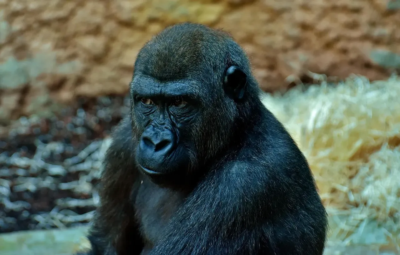 Conclusion: Why These One‑Off Animals Still Matter (Image Credits: Pixabay)