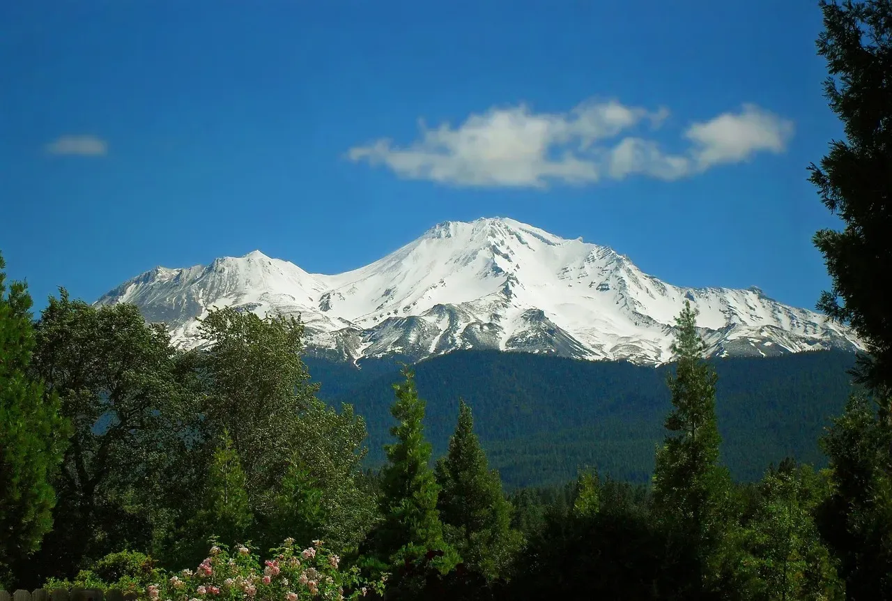 Fragile New Ecosystems Racing To Take Hold (Image Credits: Pixabay)