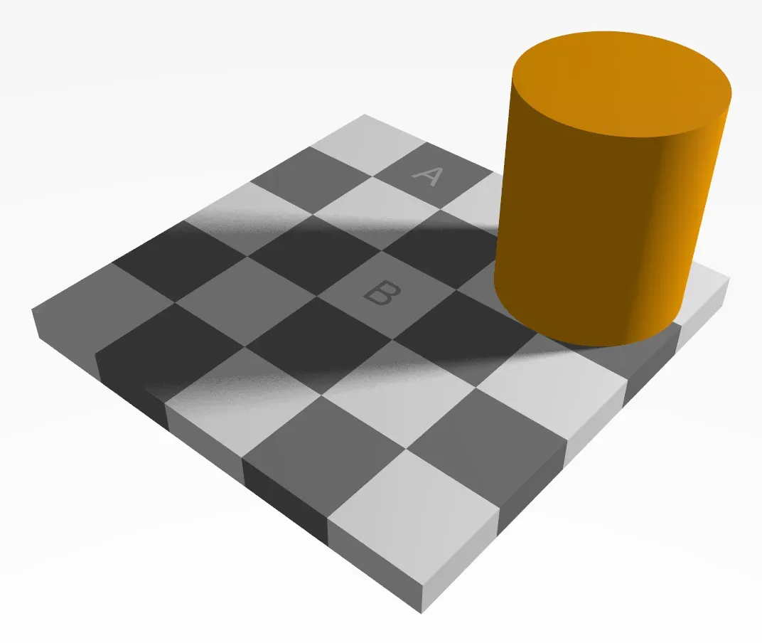 The Checker Shadow Illusion: When Lighting Rewrites Reality (Image Credits: Wikimedia)