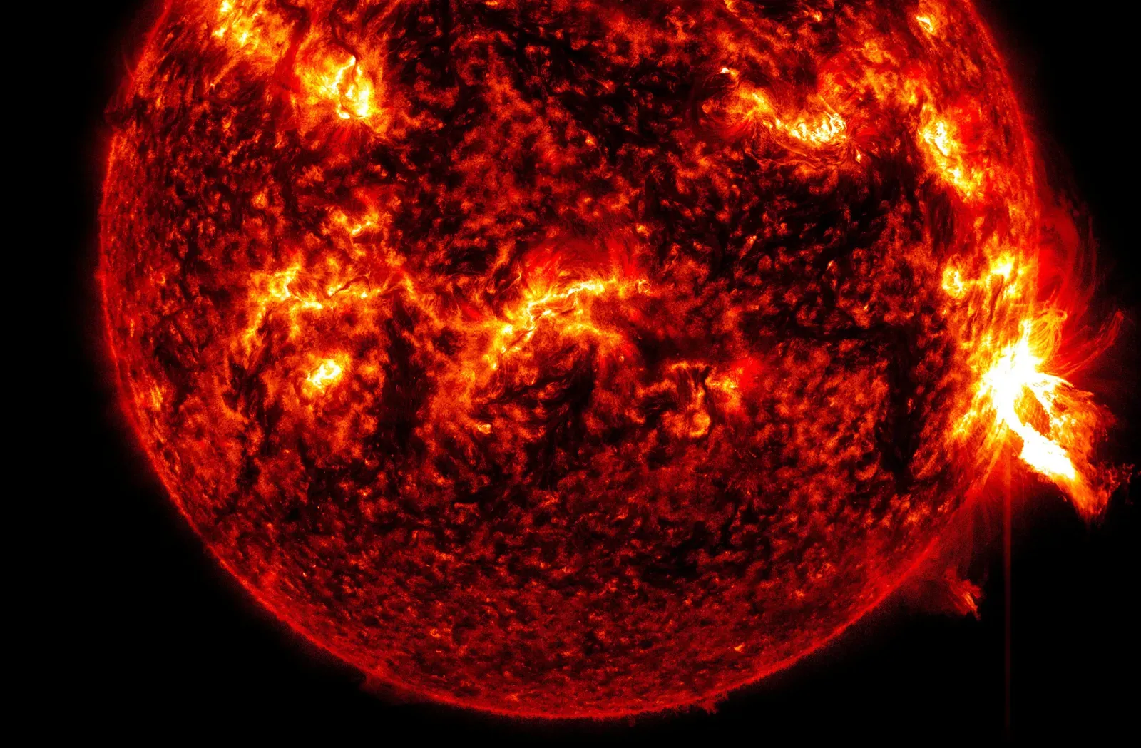 Living with a Living Star: Risk, Wonder, and Responsibility (Image Credits: Wikimedia)