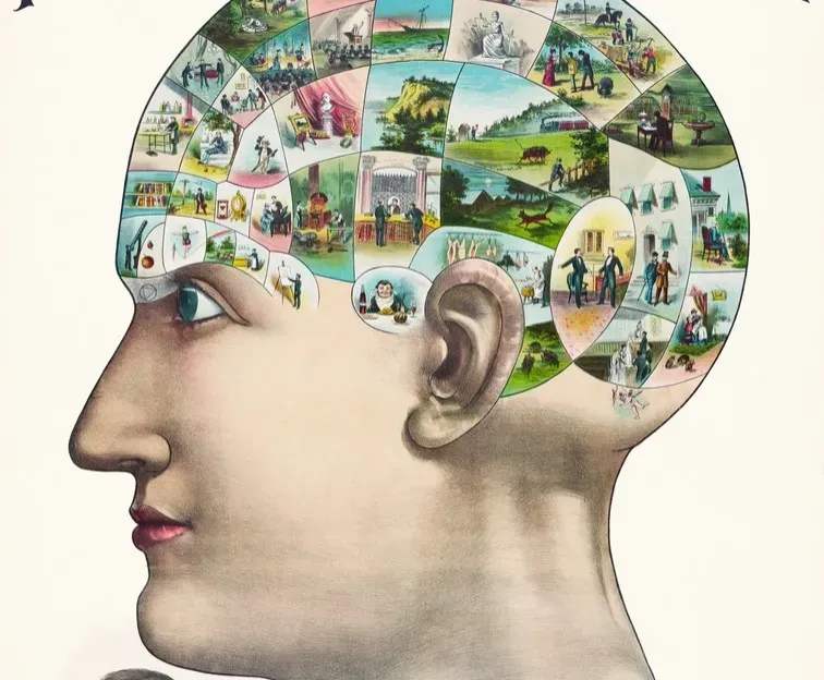 The Default Mode Network: Where Your Mind Wanders to Social “What Ifs” (Image Credits: Rawpixel)