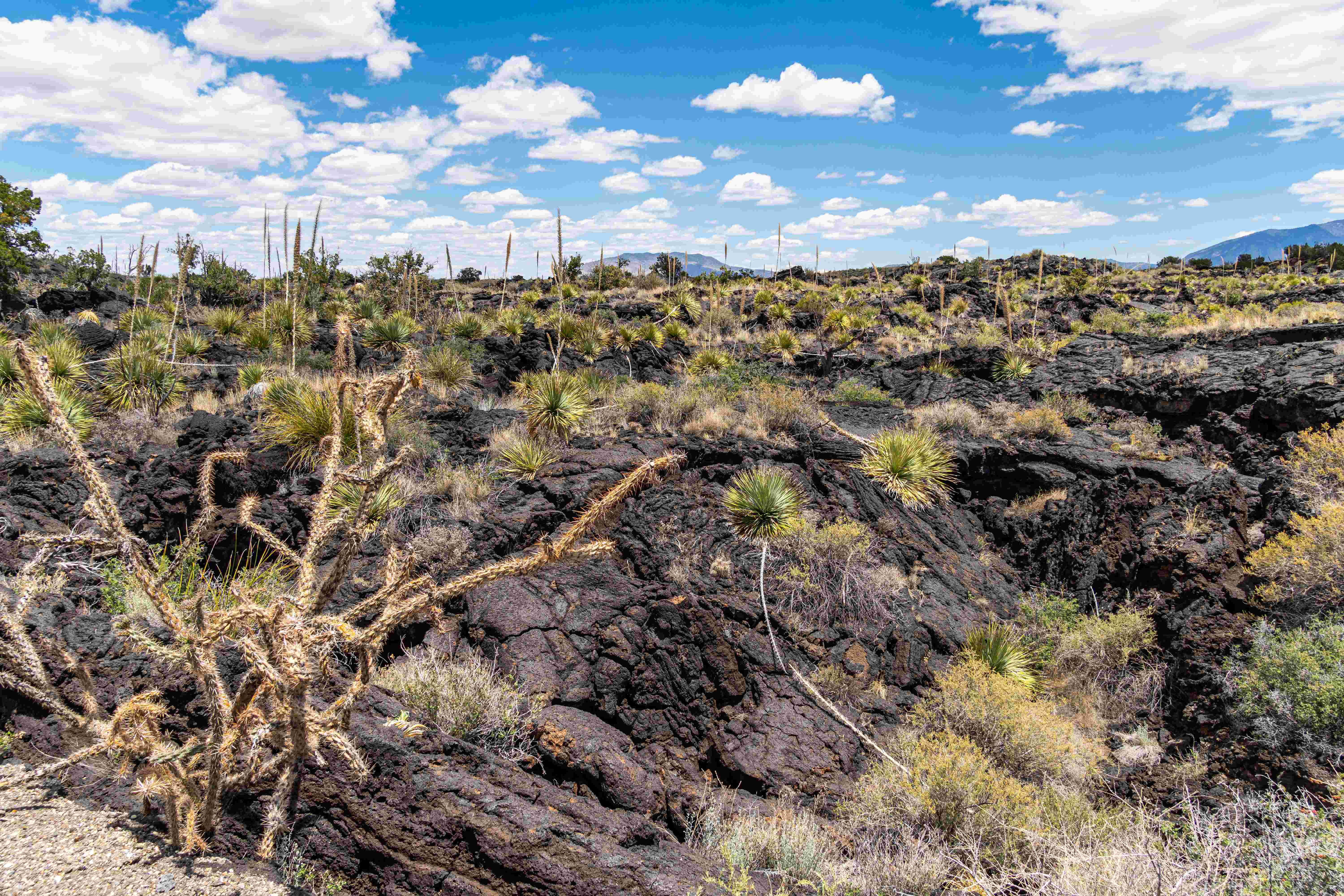 The Jemez Lineament Connection (Image Credits: Wikimedia)
