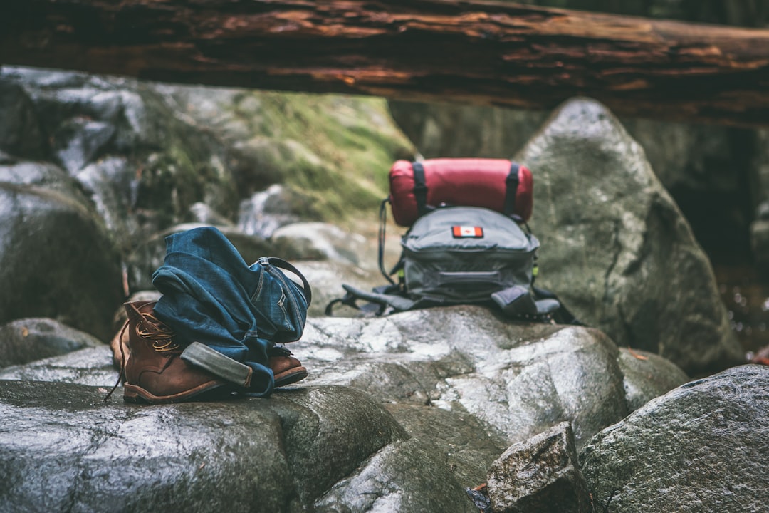 Conclusion (Image Credits: Unsplash)