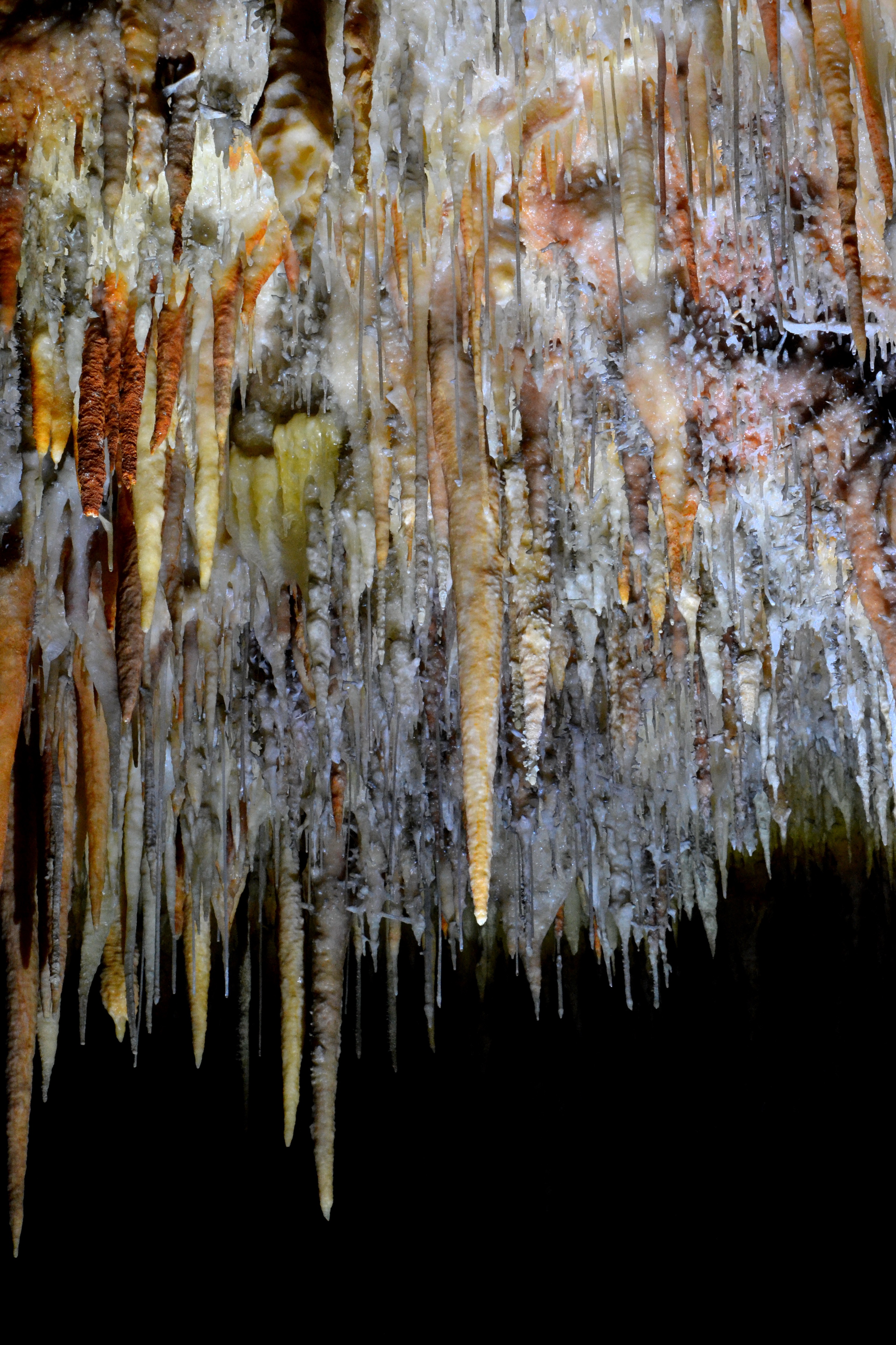 The Hidden Clues (Image Credits: Wikimedia)