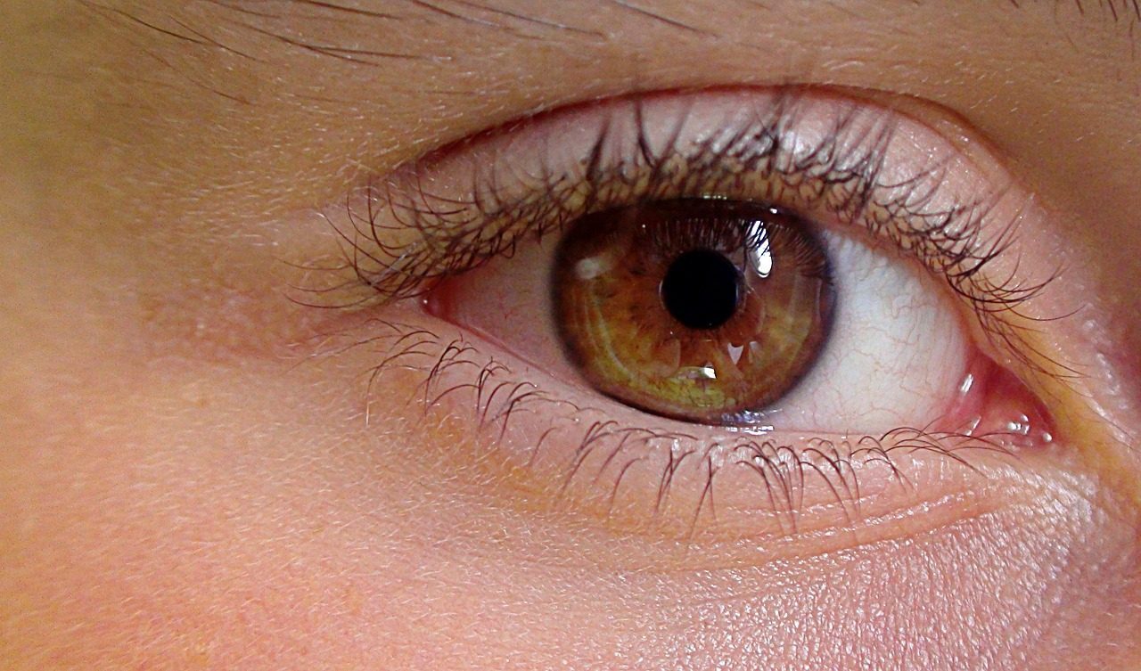 Only One-Sixth of Your Eye Is Actually Visible (Image Credits: Pixabay)