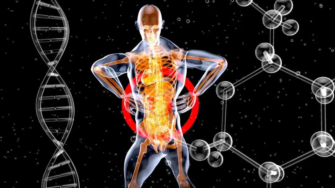 Diet, Metabolism, And The Slow Burn Of Inflammation (Image Credits: Unsplash)