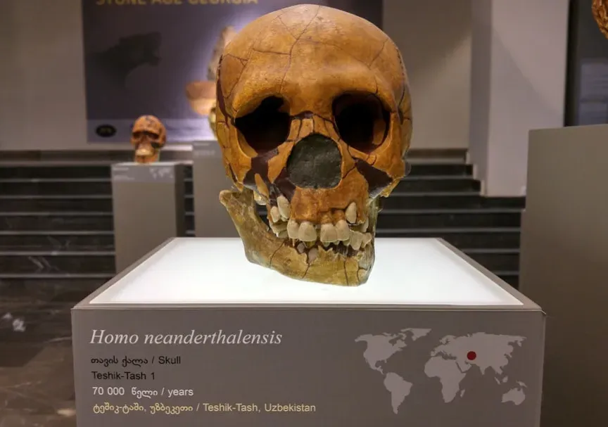 When Did Speech Really Begin? Clues from Bones and Genes (Image Credits: Unsplash)