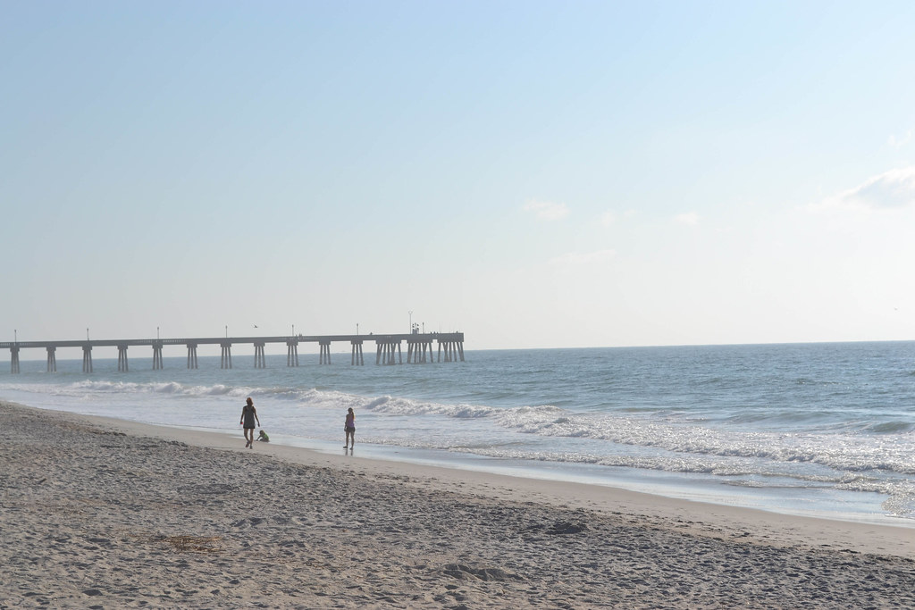 North Carolina Embraces Natural Buffer Systems (Image Credits: Flickr)