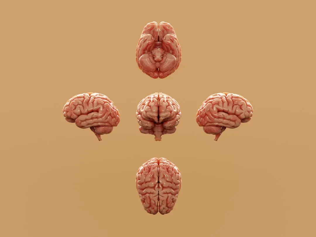 Digital Minds And Brain Preservation: A Different Kind Of “Forever” (Image Credits: Unsplash)