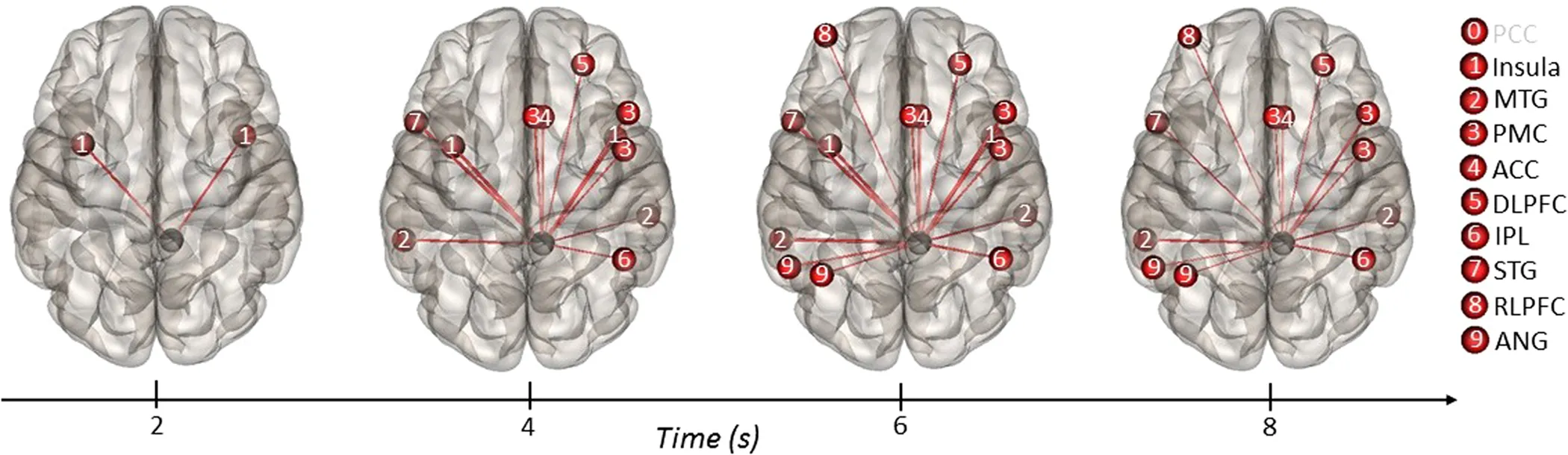 Different Brain Regions Form Learning Networks (Image Credits: Wikimedia)