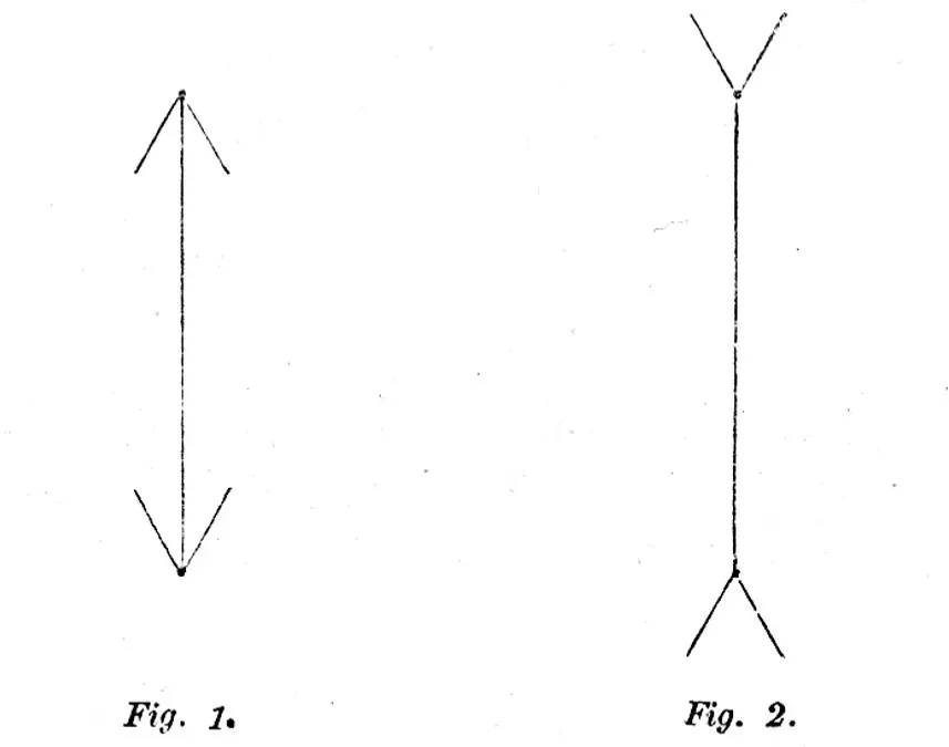 The Müller-Lyer Illusion: When Arrows Bend Your Sense of Size (Image Credits: Wikimedia)