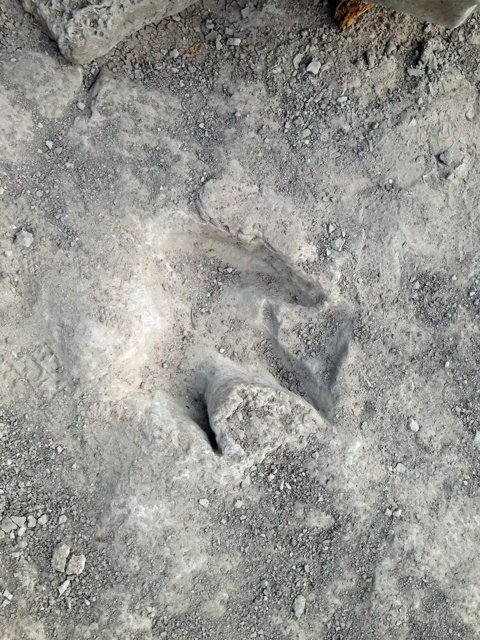 How Readers Can Step Into the Story (Image Credits: Wikimedia)