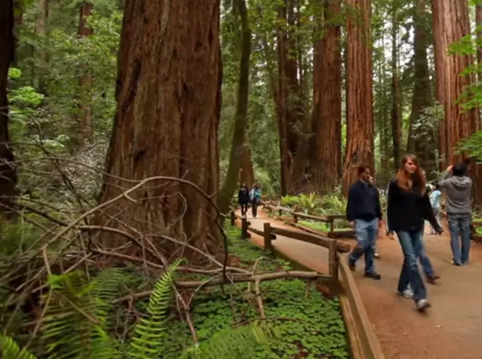 Conclusion: Life Has a Long Memory (Image Credits: Flickr)