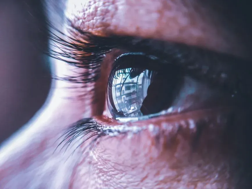 The Illusion of a Neat Split Between “Out There” and “In Here” (Image Credits: Pexels)