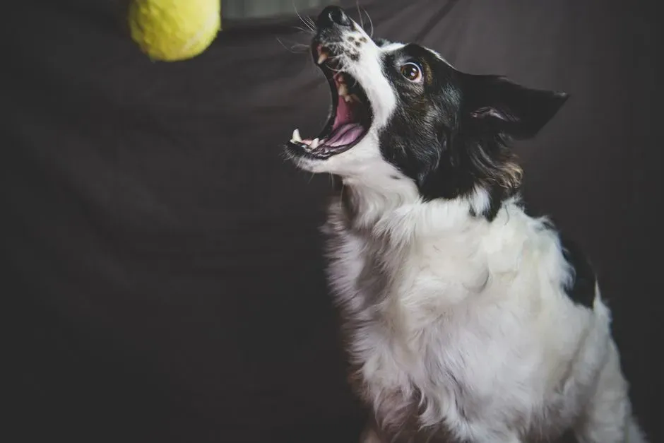 Step 1: One Minute of Fast, Controlled Movement (Image Credits: Pexels)