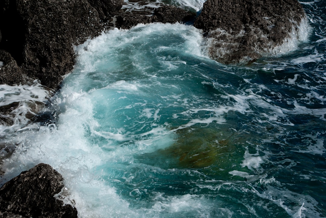 The Water Signs by the Tide (Image Credits: Unsplash)