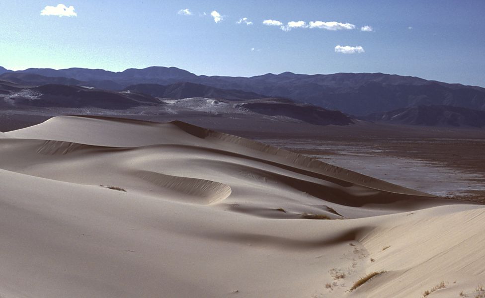 Eureka Dunes, Death Valley, California (Image Credits: Wikimedia)
