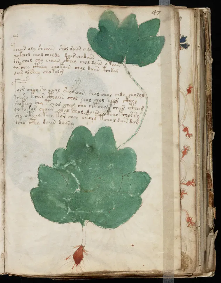 3. The Voynich Manuscript: A Book No One Can Read (Image Credits: Flickr)
