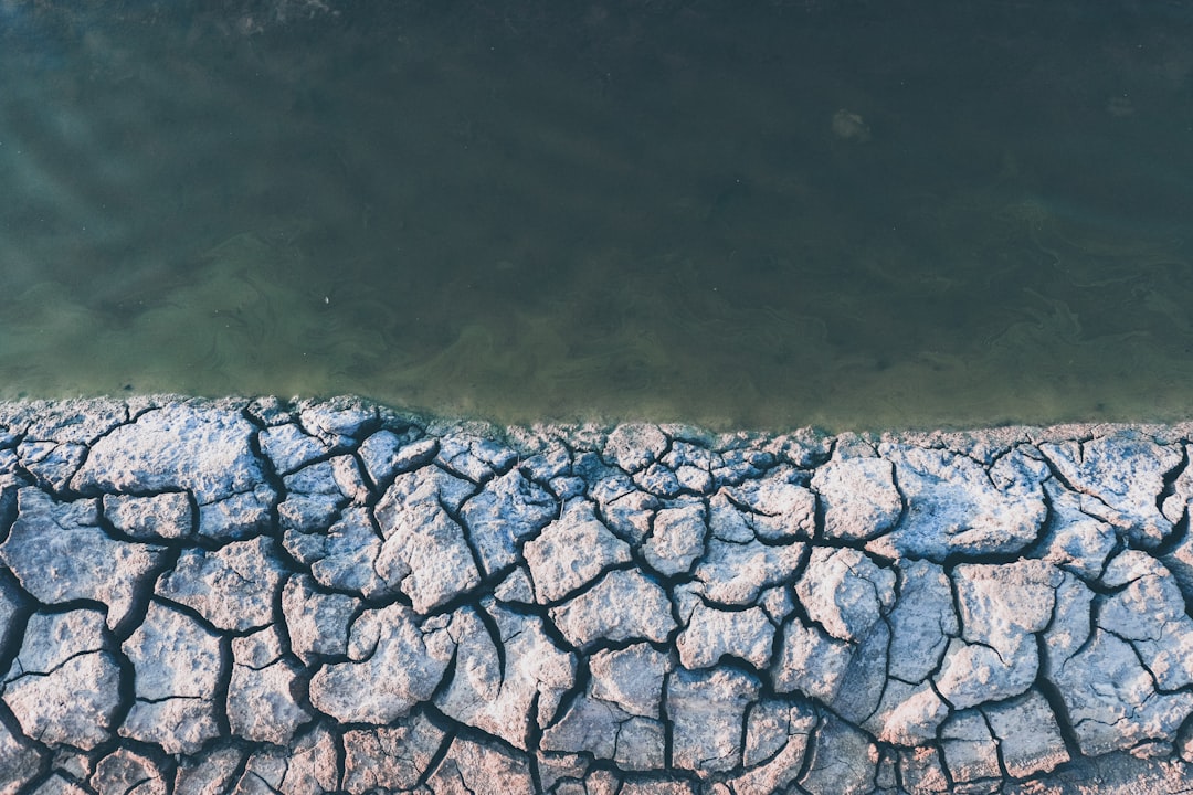 The Hidden Clues (Image Credits: Unsplash)