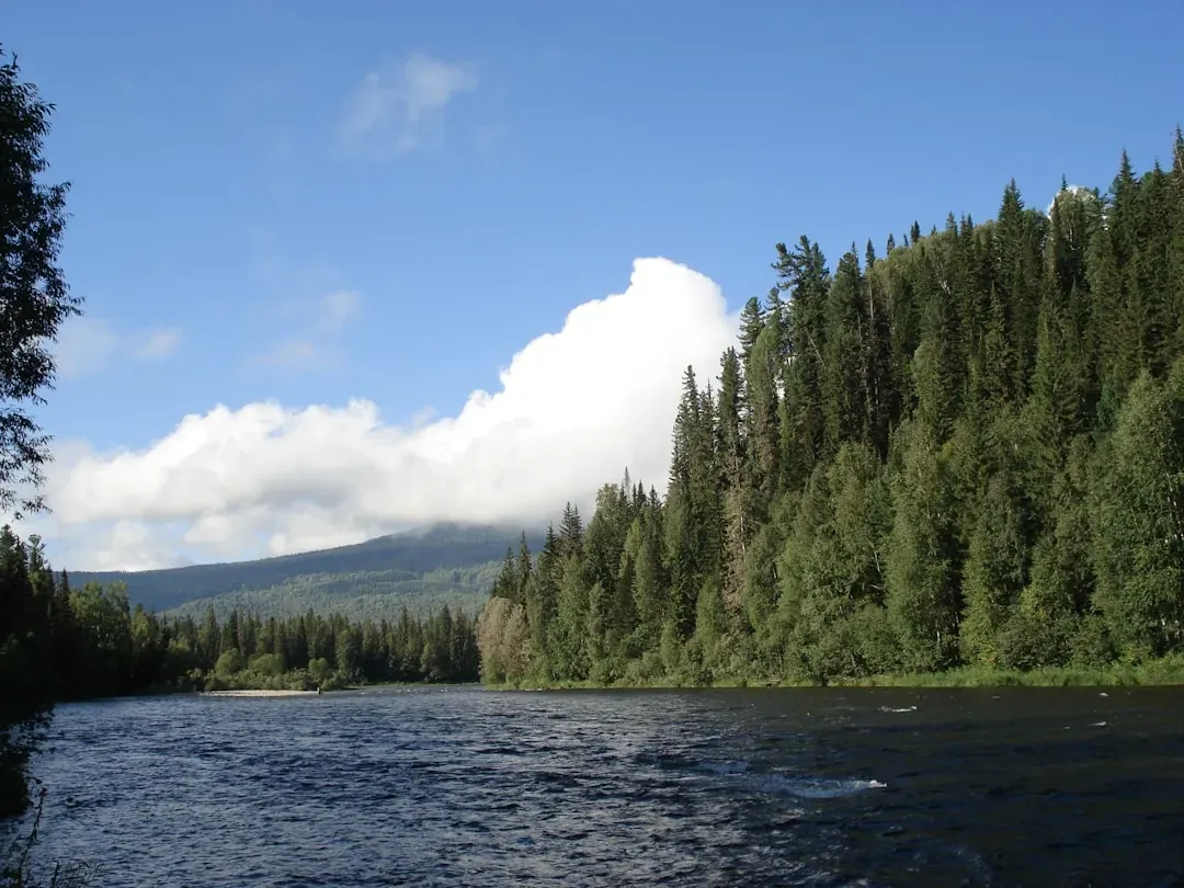 What this mystery river ultimately says about your future (Image Credits: Unsplash)